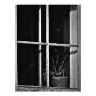 Impression Photo "L'histoire a disparu"