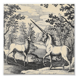 Impression Photo Licorne mythique dans la forêt