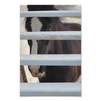 Impression Photo Lien inexprimé