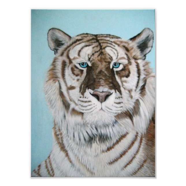 Impression Photo Liger (Devant)