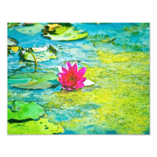 Impression Photo Lily Lilypad
