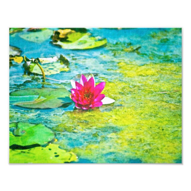 Impression Photo Lily Lilypad (Devant)