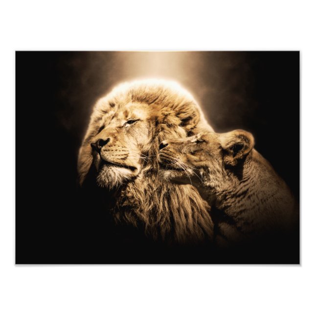 Impression Photo Lion Lionne Animal Sauvage Safari Afrique Jungle M (Devant)