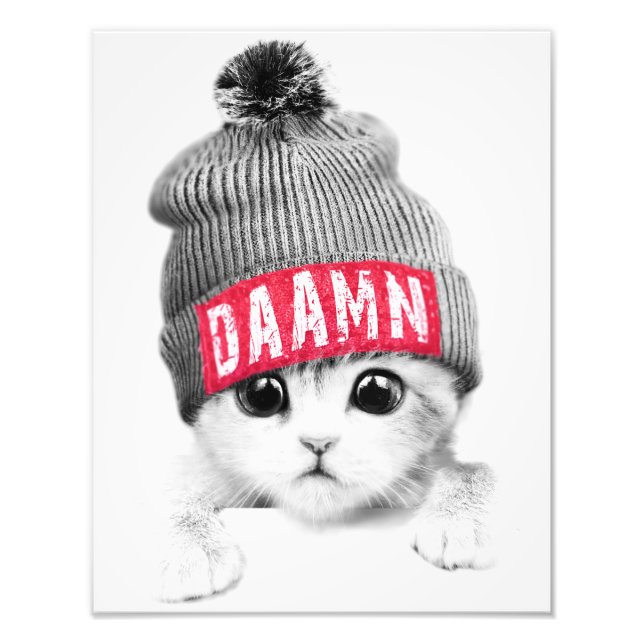 Impression Photo Little Cat (Devant)