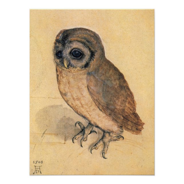 Impression Photo Little Owl par Albrecht Durer (Devant)