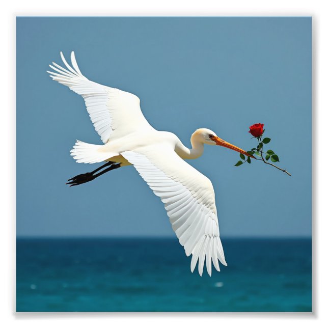 Impression Photo L'oiseau voyageur (Devant)