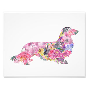 Impression Photo Long Haired Dachshund