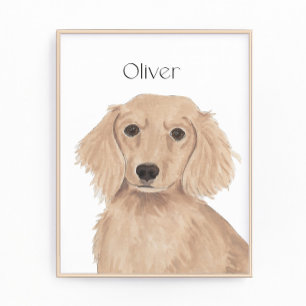 Impression Photo Long Haired English Red Dachshund Art