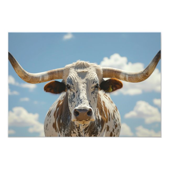 Impression Photo Longhorn Bull (Devant)