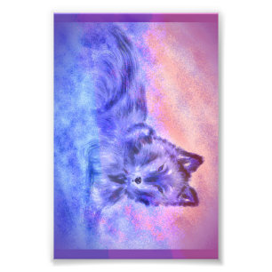 Impression Photo Loup au coucher du soleil