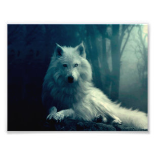 Impression Photo Loup blanc dans la forêt nocturne