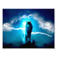 Loup dans la tempête