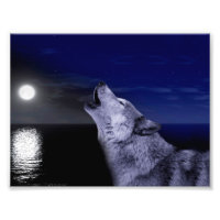 Loup hurlant sur la lune dans la mer
