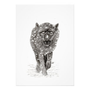 Impression Photo Loup noir en colère dans la neige, hiver sauvage