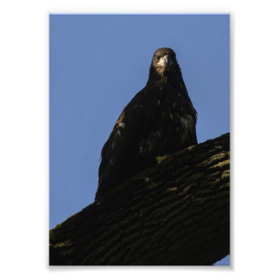 Impression Photo Lumière