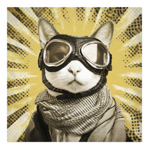Impression Photo Lunettes d'aviateur pour chat Portrait Sunburst