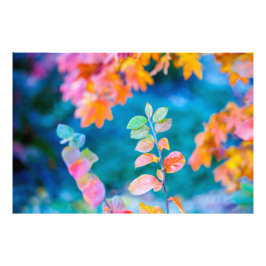 Impression Photo Magnifiques Feuilles de Cotonou