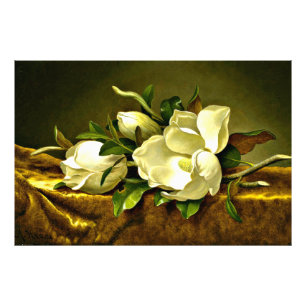 Impression Photo Magnolias sur le tissu en velours or