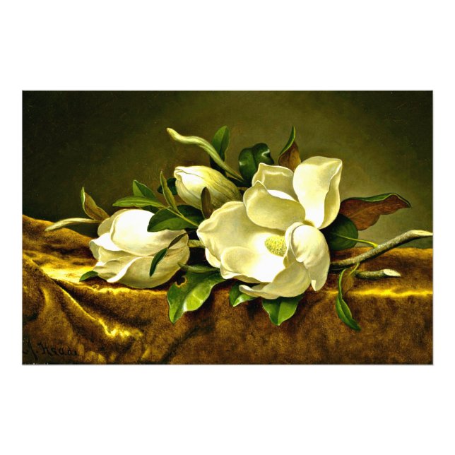 Impression Photo Magnolias sur le tissu en velours or (Devant)