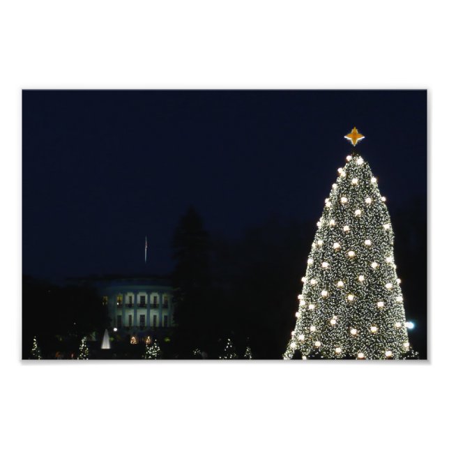 Impression Photo Maison Blanche et Fête nationale des arbres de Noë (Devant)