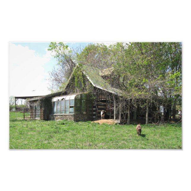 Impression Photo Maison des Vielles Chèvres (Devant)