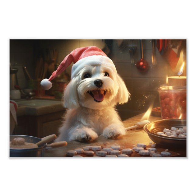 Impression Photo Maltese Christmas Cookies Festive Holiday (Devant)