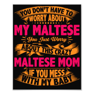 Impression Photo Maman Maltaise folle