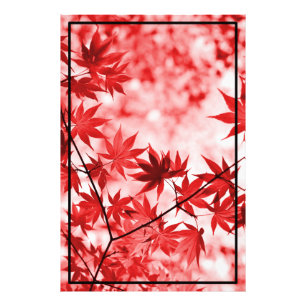 Impression Photo Maple Trees Design Feuille