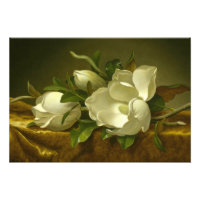 Martin Johnson Heade - Magnolias sur Gold Velvet