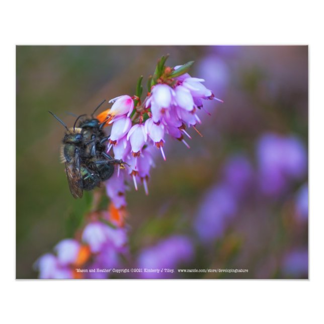 Impression Photo Mason et Heather (Devant)