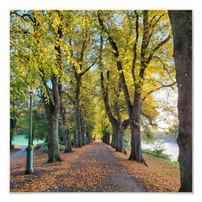 Impression Photo Matin d'automne (Devant)