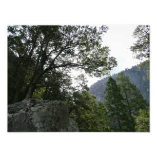 Impression Photo Matin sur le sentier menant aux chutes de Vernal d