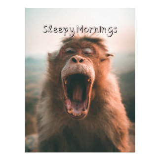 Impression Photo Matins endormis - Singe bâillant 
