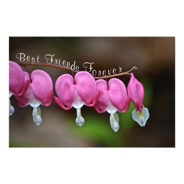 Impression Photo Meilleurs amis pour toujours (Devant)