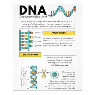 Impression Photo Meilleurs enfants Étudiants affiches éducatives