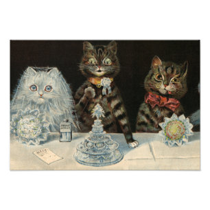 Impression Photo Mellin's Food Biscuits de Louis Wain