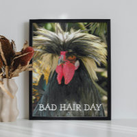 Mème de poulet de la journée des cheveux mauvais