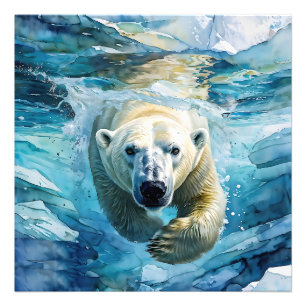 Impression Photo Mirage arctique : Le Monarque de la natation