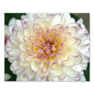 Impression Photo moelleux