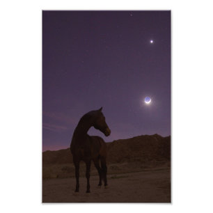 Impression Photo Mon garçon aime la lune