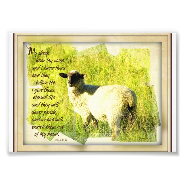 Impression Photo Mon mouton écoute ma voix 5 x 7 (Devant)