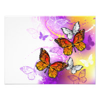 Monarch Butterflies on Purple Background