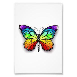 Impression Photo Monarque papillon arc-en-ciel