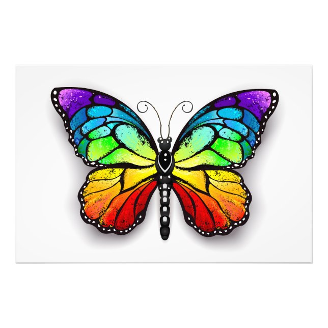 Impression Photo Monarque papillon arc-en-ciel (Devant)