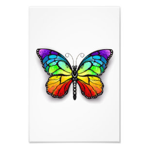 Impression Photo Monarque papillon arc-en-ciel