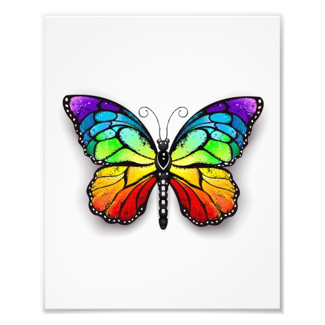 Impression Photo Monarque papillon arc-en-ciel (Devant)
