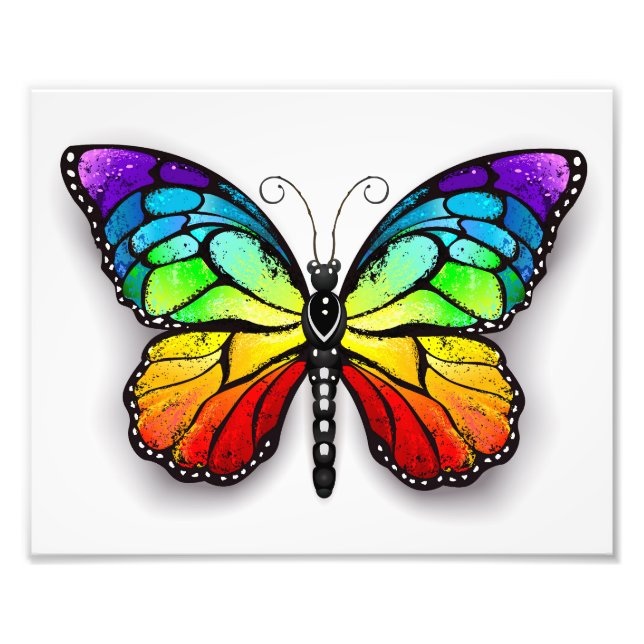 Impression Photo Monarque papillon arc-en-ciel (Devant)