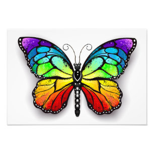 Impression Photo Monarque papillon arc-en-ciel
