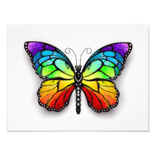 Impression Photo Monarque papillon arc-en-ciel