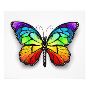 Impression Photo Monarque papillon arc-en-ciel